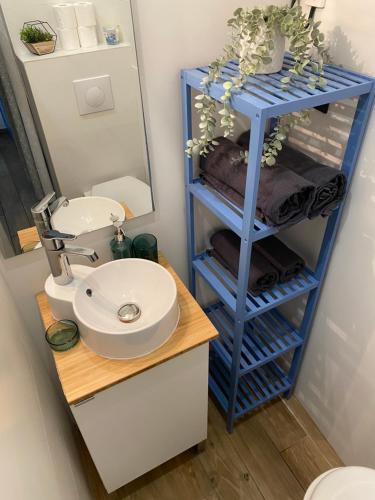 La salle de bains est pourvue d'une étagère bleue avec un lavabo et un miroir. dans l'établissement Nuit à la Roquette, Arles, à Arles