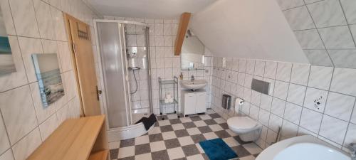 een badkamer met een wastafel, een toilet en een douche bij Ferienhaus Schuldienersch in Biedenkopf