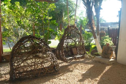 a couple of nets sitting next to a tree at El árbol de la vida Hostel - Private Rooms Near Bacalar Lagoon in Bacalar