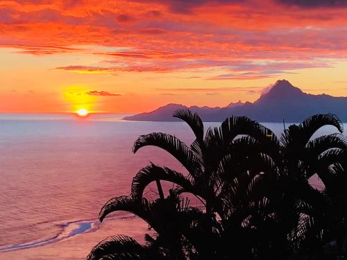 a sunset over the ocean with a palm tree at Villa Te Miti in Punaauia