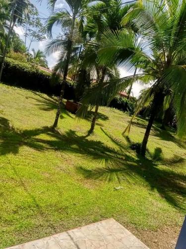 Villas Morales-caño negro – Photos 5