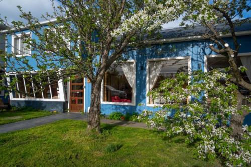 una casa azul con un árbol en el patio en Hostal Los Pinos en Puerto Natales