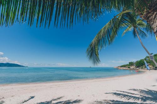 a beach with a palm tree and the ocean at Beachfront Art Villa Samui in Bophut 