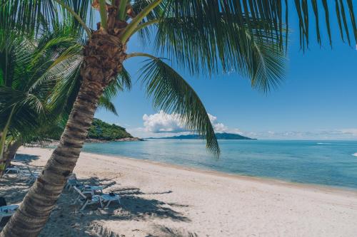 a palm tree and chairs on a beach at Beachfront Art Villa Samui in Bophut 