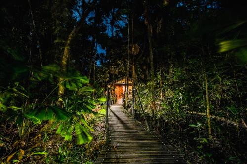 a wooden path in the middle of a forest at Daintree Wilderness Lodge in Daintree