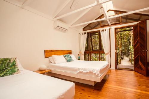 een slaapkamer met 2 bedden en een raam bij Daintree Wilderness Lodge in Daintree