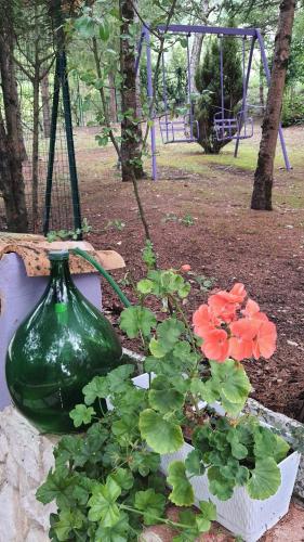 a green vase sitting on a wall next to flowers at Flamignano relax e natura in Tossicia