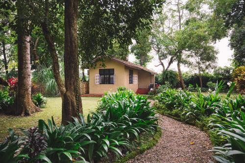 a house in the middle of a garden with trees at Green Mansions Jungle Resort in Sauraha