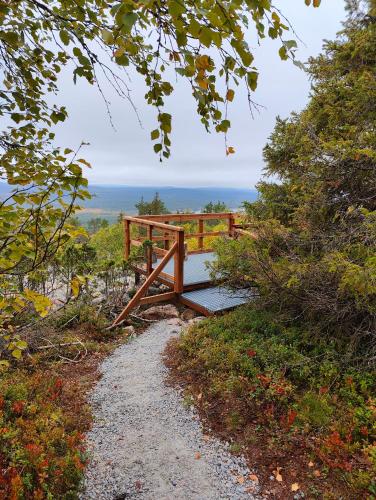 a wooden bridge over a dirt trail with the view at Isokelo Log Apartments in Salla