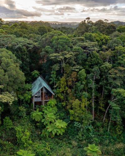 a small house in the middle of a forest at Rose Gums Wilderness Retreat in Butchers Creek