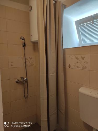 a bathroom with a shower with a shower curtain at Apartman Pijavica in Bijela