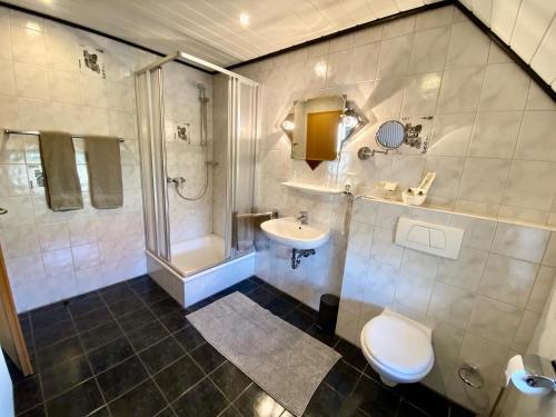 een badkamer met een toilet, een wastafel en een douche bij Almehof Thöne in Büren