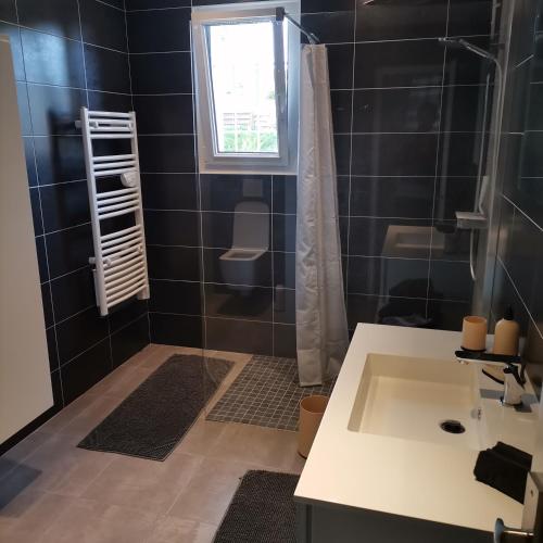 ein schwarz gefliestes Bad mit einem Waschbecken und einem Fenster in der Unterkunft Appartement dans habitation privée avec piscine in La Milesse