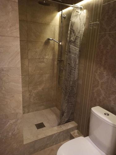 a bathroom with a shower and a toilet at Готель Жасмин in Ternopil