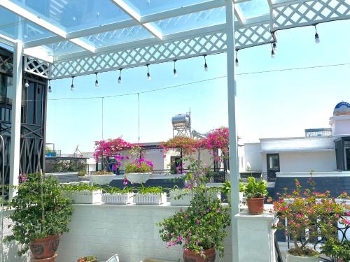 a patio with potted plants on a building at G-space apartment in Hai Phong