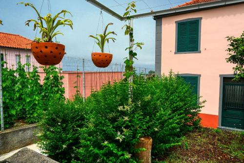 a garden with two potted plants hanging from a fence at Os Ferreirinhos, a Home in Madeira in São Jorge