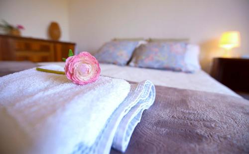 a pink rose sitting on top of a bed at Radici Dimora natura cultura in Campagnola