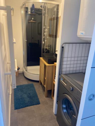 a bathroom with a shower and a washing machine at BORD DE LAC,2 chambres SUPERBE VUE LAC 5mn Evian in Lugrin