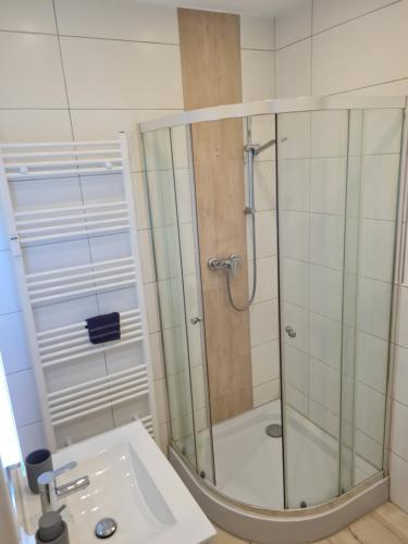 a bathroom with a shower and a sink at Ferienwohnung am Kurpark in Bad Rothenfelde