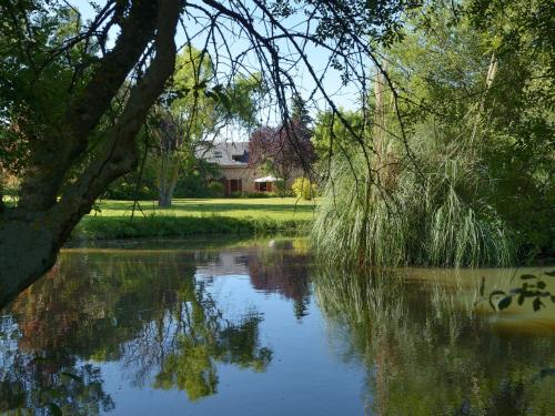a pond with trees and a house in the background at Le Clos du Piheux in Thorigné-dʼAnjou