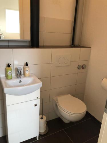 a small bathroom with a toilet and a sink at Zurich Studio in Birmensdorf