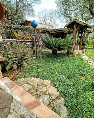 un giardino con una palla blu su un palo di The Treehouse - Casa sull'albero al Golden Camp a Falerna