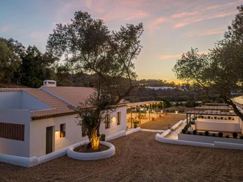 a view of the backyard of a house with a tree at Apartamento para pareja, Finca Contrabando. Sanlucar del Guadiana in Sanlúcar de Guadiana