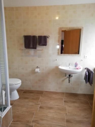 a bathroom with a white toilet and a sink at Pension Fohlenhof in Frauenau
