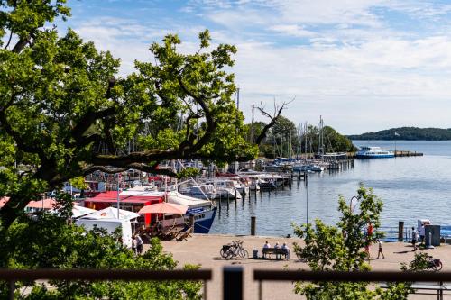 a bunch of boats docked at a marina at Hafenhotel zu Putbus in Putbus