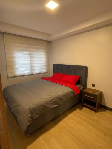 Un dormitorio con una cama con dos almohadas rojas. en A peaceful holiday with a unique view, en Antalya