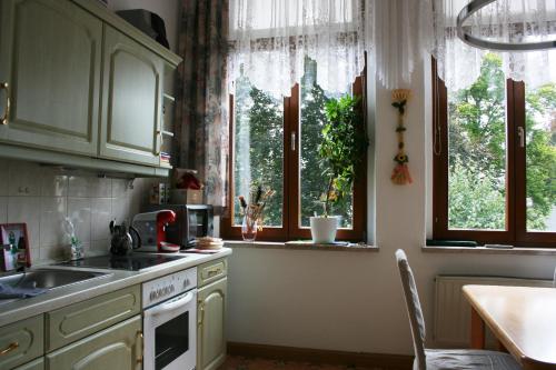 eine Küche mit einem Waschbecken und zwei Fenstern in der Unterkunft Villa Göltzschtalblick in Netzschkau