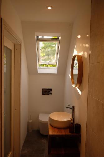 a bathroom with a toilet and a sink and a window at Dromdiah Lodge in Killeagh