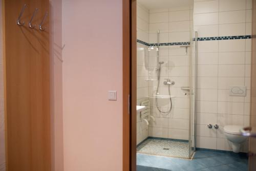 a bathroom with a shower and a toilet at Weingut und Gästehaus Wetzler in Vendersheim