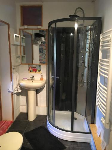 a bathroom with a shower and a sink at Boutonne Rouge Gite in Bouin