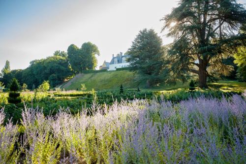 a field of lavender with a house in the background at Relais & Château Louise de La Vallière in Reugny