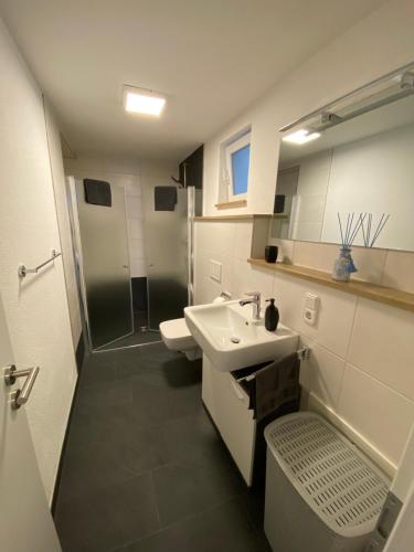 W łazience znajduje się umywalka, toaleta i prysznic. w obiekcie Casa Zappata w mieście Überlingen
