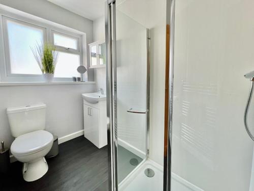 a bathroom with a toilet and a glass shower at Knick Knack - 10 Minutes Stroll from Brixham Harbour in Brixham
