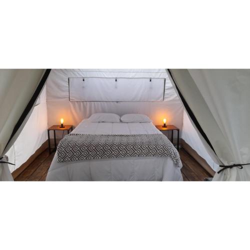 Glamping La Toscana – Photos 4