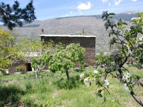 Imagen de la galería de Casa Rural Los Castaños Capileira - Alpujarra, en Capileira