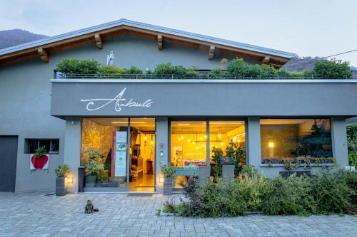 Una tienda con un gato sentado frente a ella. en Arbulé Agriturismo & Spa Valtellina en Poggiridenti