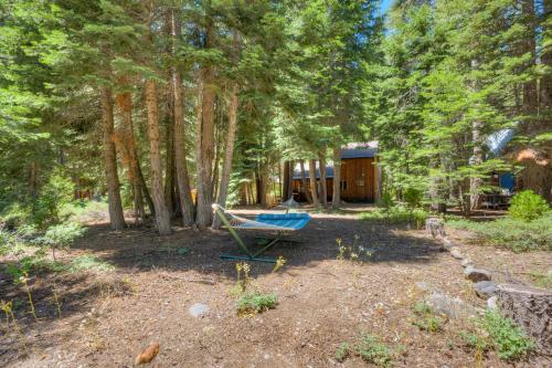 Truly Tahoe – Photos 2