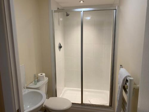 a bathroom with a shower and a toilet and a sink at Number 10 Serviced Apartment - Chapel in Southampton