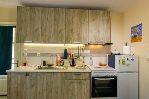 a kitchen with wooden cabinets and a white refrigerator at Terpno Apartment in Leonidio