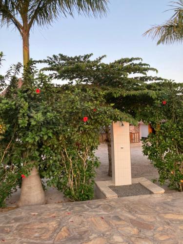 an archway with red flowers and a tree at Mapeni Lodge in Kidenge