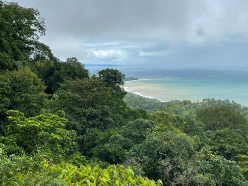 a view of the ocean from a forest of trees at ACHIOTÉ Architectural Gem - Adults Only in Uvita