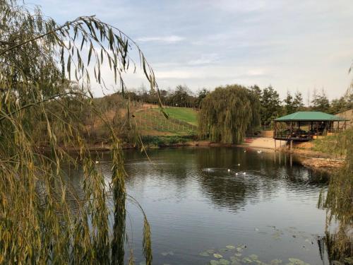 Paisaje cerca de este agroturismo
