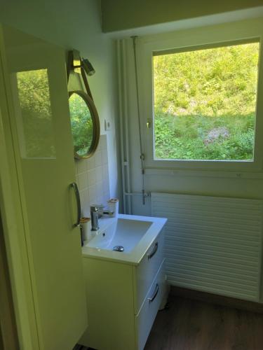 uma casa de banho com um lavatório e uma janela em Chez Cyrielle et Christophe em Allevard