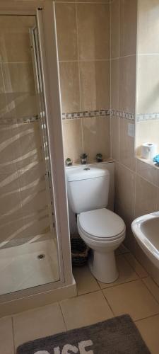 a bathroom with a toilet and a sink and a shower at Eskdale in Woolton