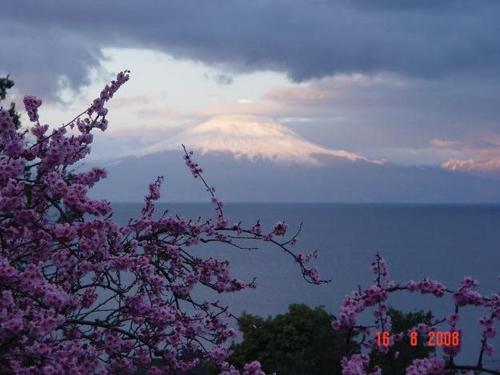 Cabañas el Bosque Patagónico – Photos 4