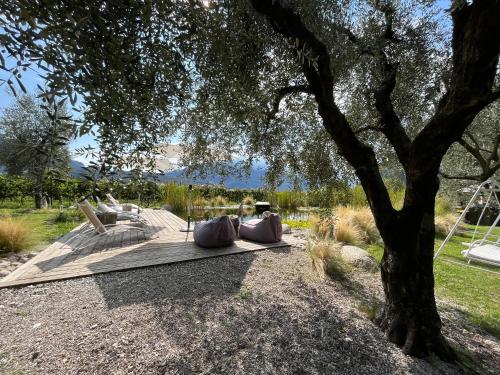 Agritur Fiore d'Ulivo – Photos 4